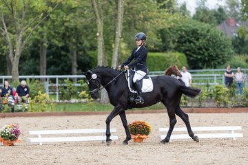 Bild 500 - Fuchshof Turnier